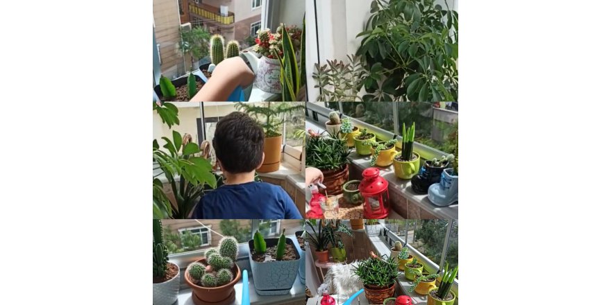 En güzel balkon yarışması