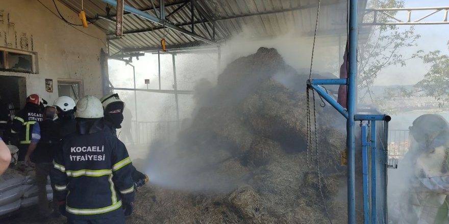 Besi çiftliğinde çıkan yangın söndürüldü