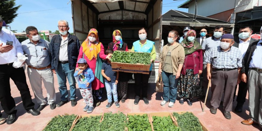 Hürriyet’ten fide dağıtımı