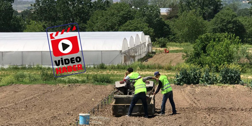 Hibe destekli seralar çiftçilere teslim ediyor
