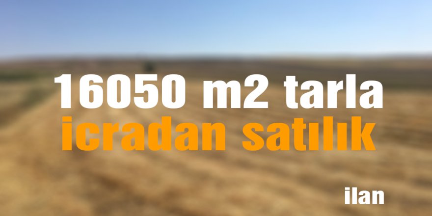 16050 m2 tarla icradan satılık