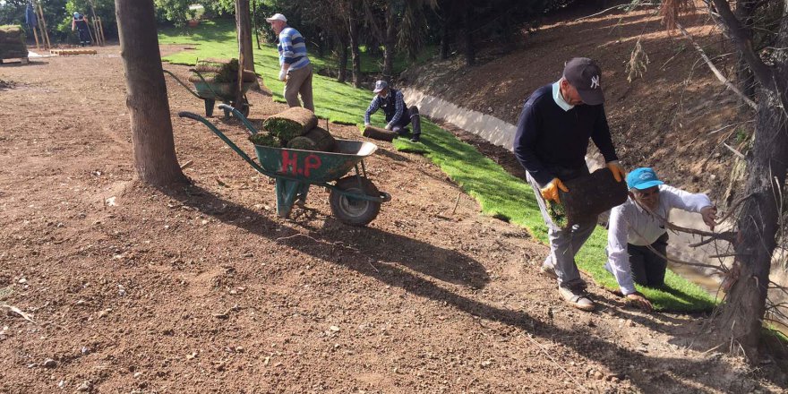 Stadın çimleri Dilovası  Batı Kavşağı’na serildi