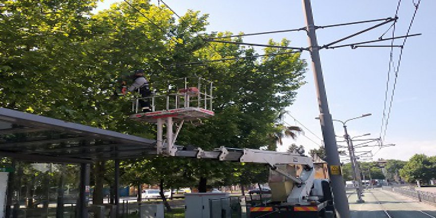 Tramvay hattına zarar  verebilecek dallar budandı