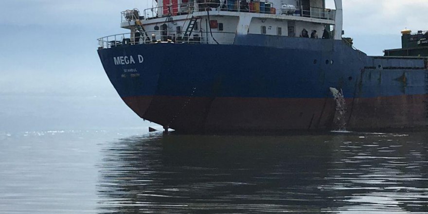 İzmit Körfezi’ni kirleten gemiye ceza