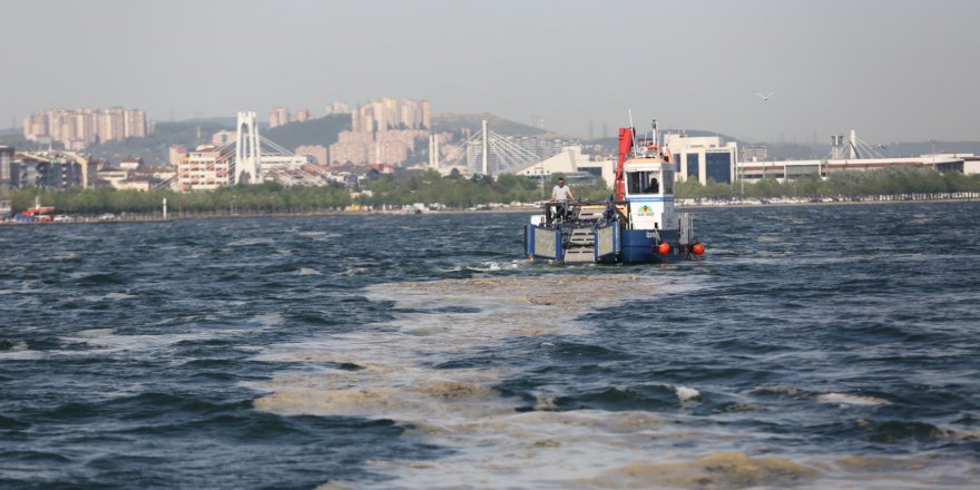 İzmit Körfezi'nden 2 ayda 150 ton deniz salyası toplandı