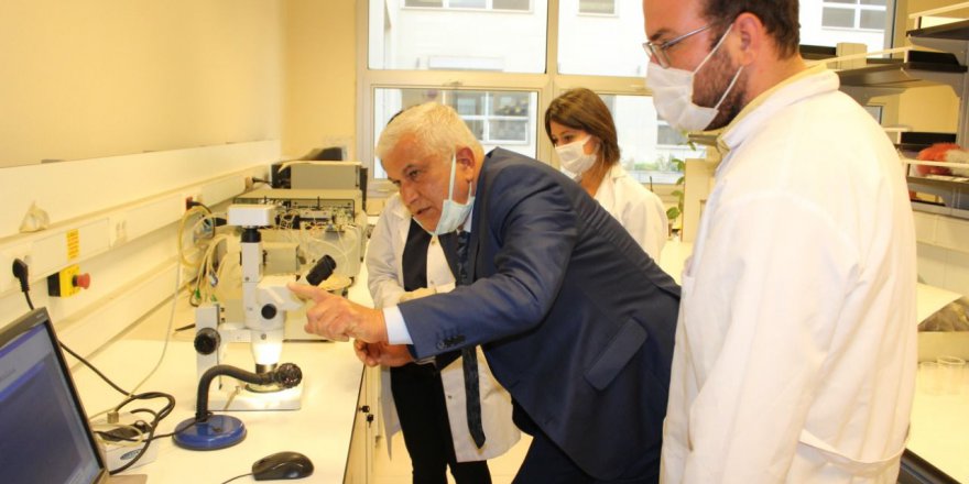 Marmara’yı boğan müsilaj için önemli çalışma