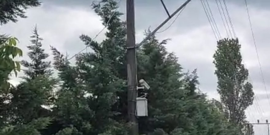 Karga kabloların yanmasına neden oldu