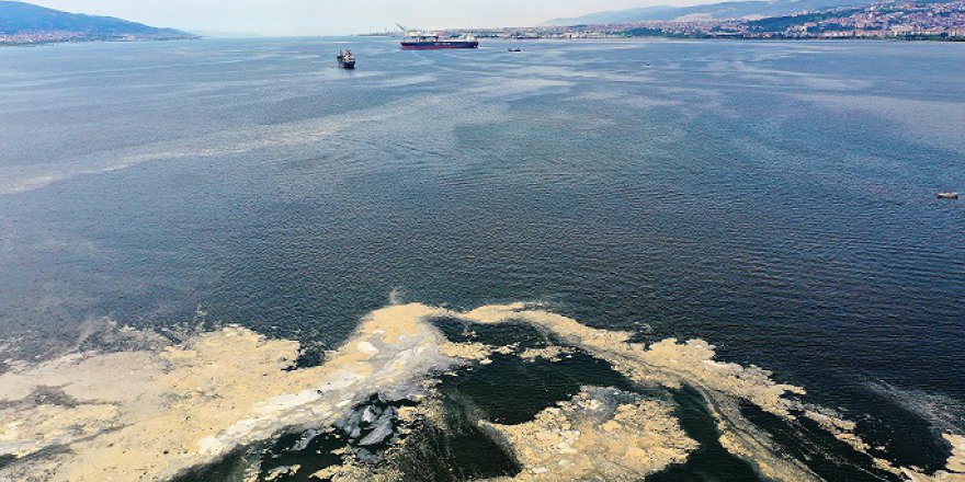 Gebze’de deniz temizliği yapılacak