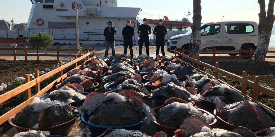 Yasak dönemde avlanan 3 ton kalkana el konuldu