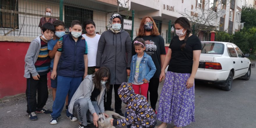 Yavru köpeği aracıyla ezdi