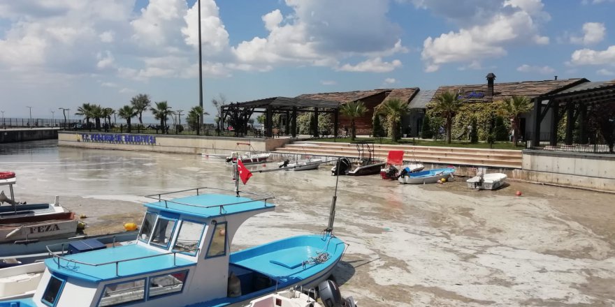 Körfezde müsilaj temizleme çalışmaları sürüyor