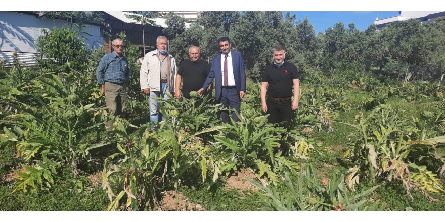 Kaymakam Kara’dan üreticilere övgü