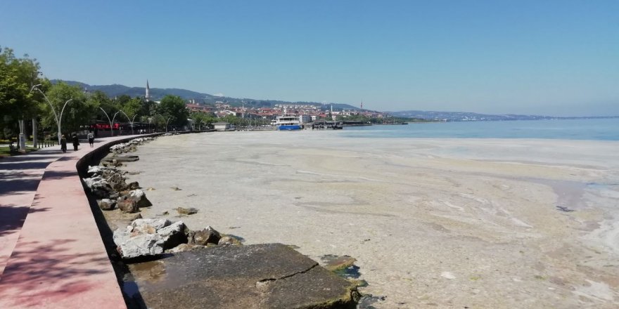 Körfez'deki müsilaj etkisini sürdürüyor