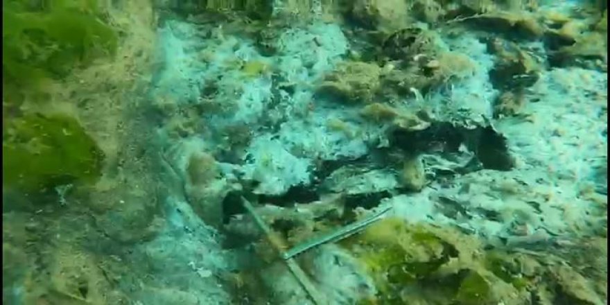 Müsilaj, deniz tabanında tortu oluşturdu