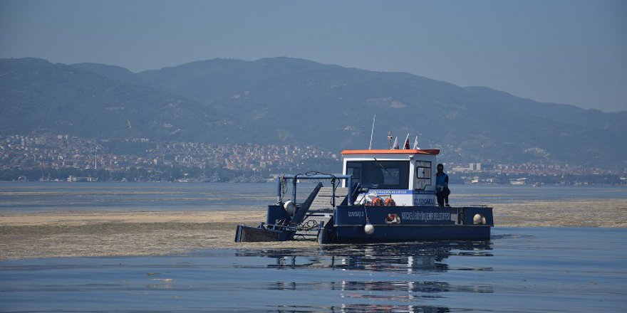 Kocaeli’de 326 metreküp müsilaj toplandı
