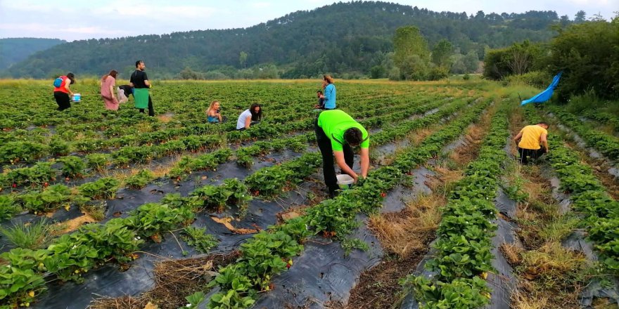 Nicomedia Trekking üyeleri Kıranyurt Yaylası’nı gezdi