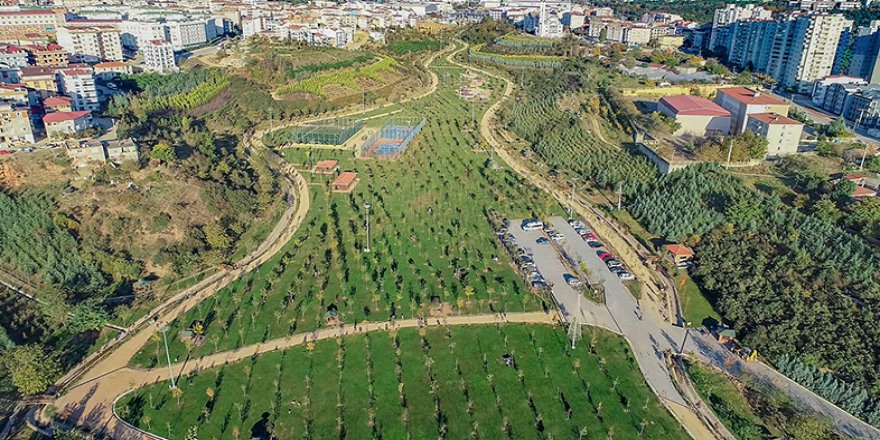 Kişi başına düşen yeşil alanımız 12,57 metrekare