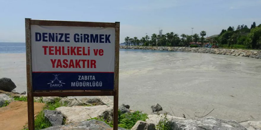 Darıca’da denize girmek yasaklandı