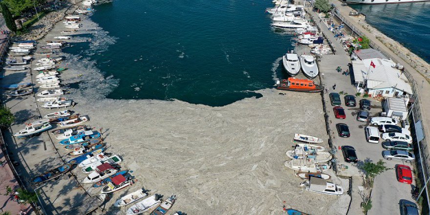 Kocaeli’de 424 metreküp müsilaj temizlendi