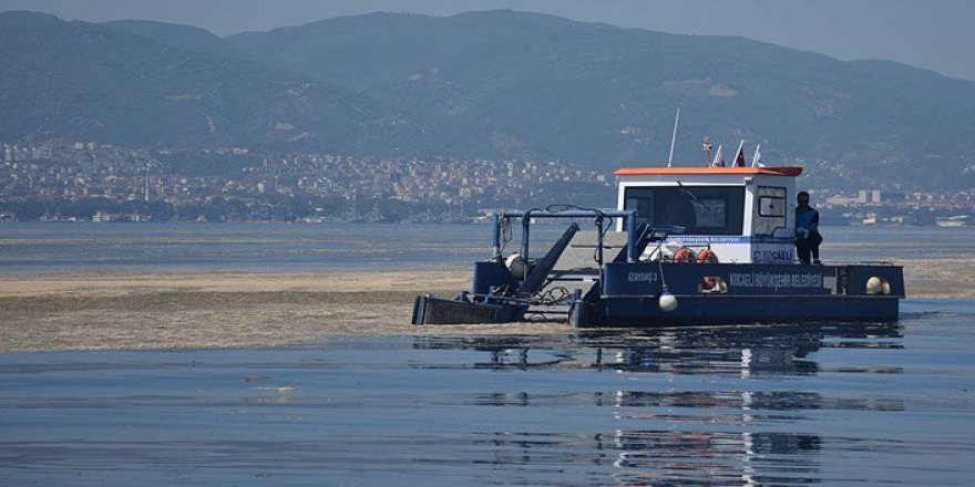 Kocaeli’de 19 günde 447 metreküp müsilaj temizlendi