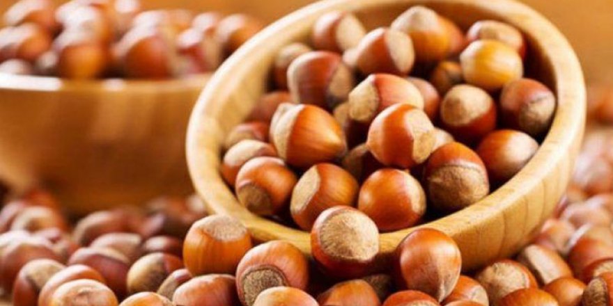 Kocaeli’de en çok fındık üretiliyor