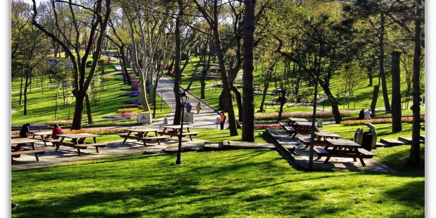 Mesire alanı çalışmaları devam ediyor