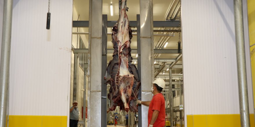 Modern mezbahalarda kesim için sıra dağıtımına başlanıyor