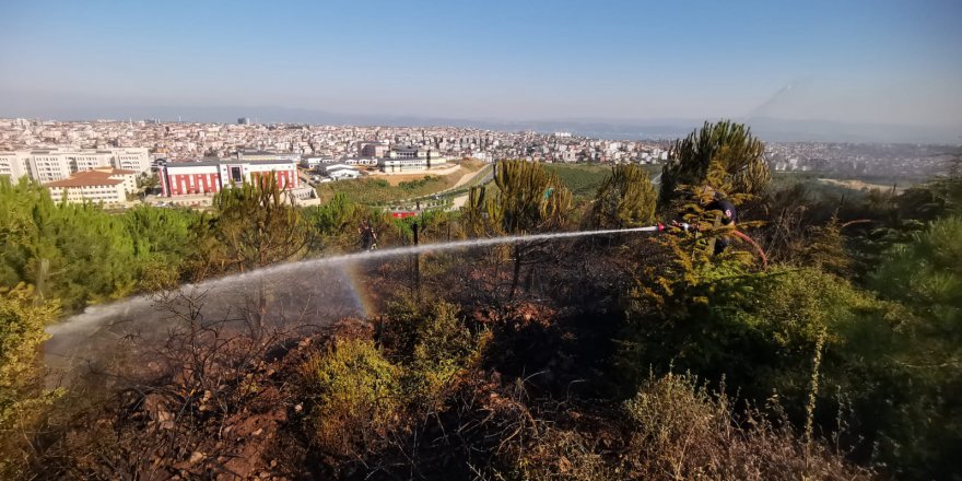 Mesire alanında yangın çıktı