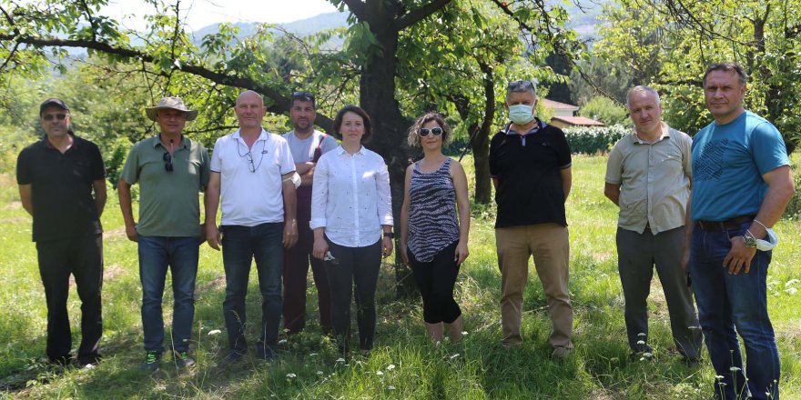 Fidancılık kursiyerlerinin eğitimleri devam ediyor