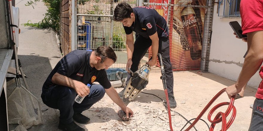 Kafası demir boruya sıkışan kediyi itfaiye kurtardı