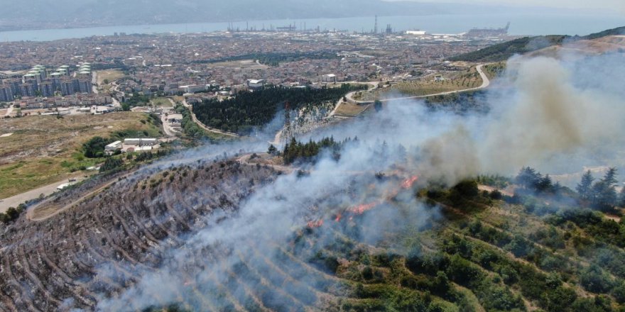 Ormanlar değil ciğerlerimiz yanıyor