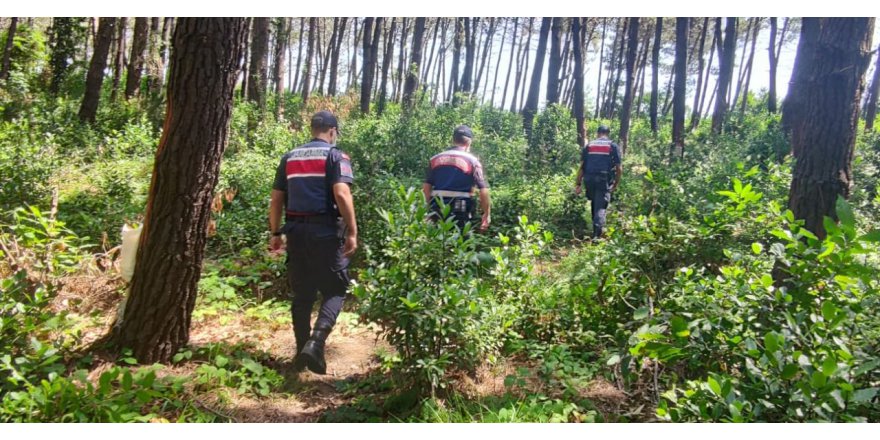 Orman yangınları için 3 ay çok riskli