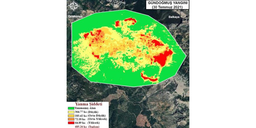 GTÜ orman yangınlarının etkili olduğu alanları haritalandırdı