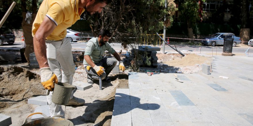 Çınarlar gözümüz gibi korunuyor