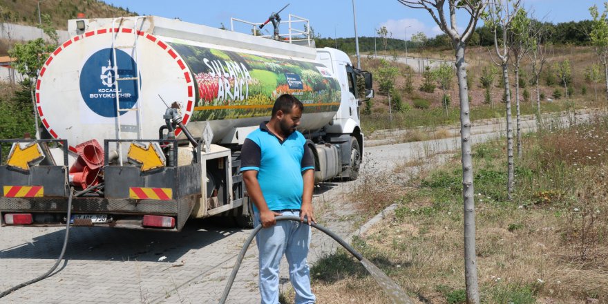 Ağaçlara can suyu Büyükşehir’den