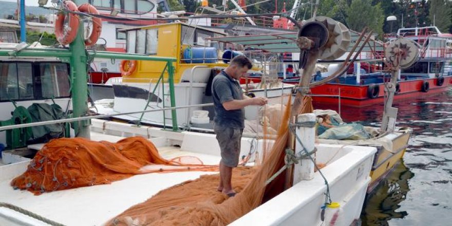 Balıkçılıkta av sezonu başlıyor!