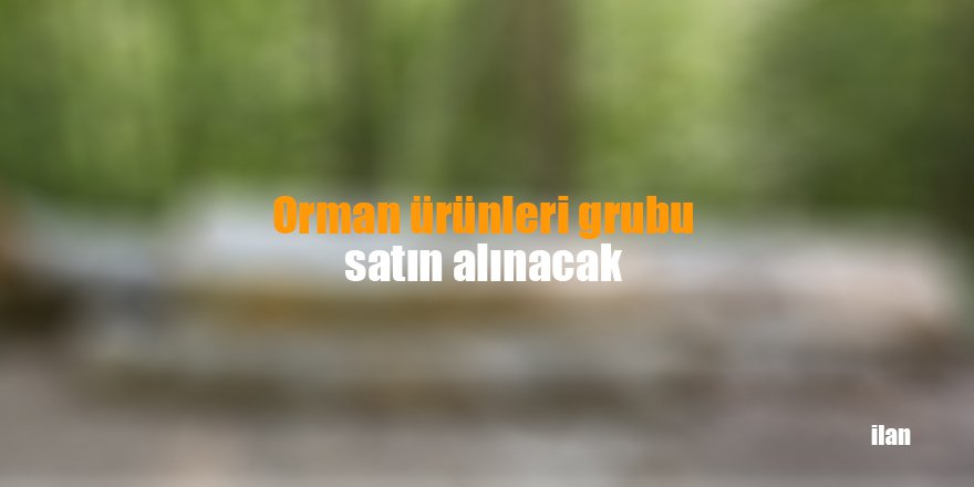 Orman ürünleri grubu satın alınacak