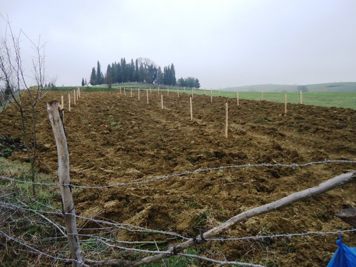 Kocaeli Organik Ürünler Pazarı kurulacak