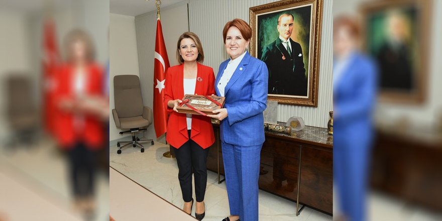 İzmitli Meral Akşener, İZGİM’in açılışına geliyor