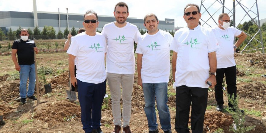 Hedef 1 Milyon m2’lik Ağaçlandırma Yapmak