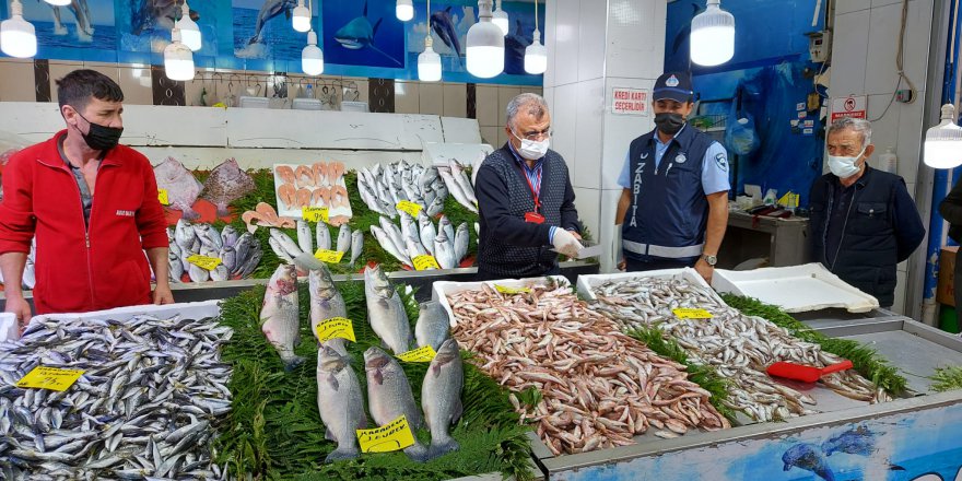 Gebze’de balıkçı denetimleri