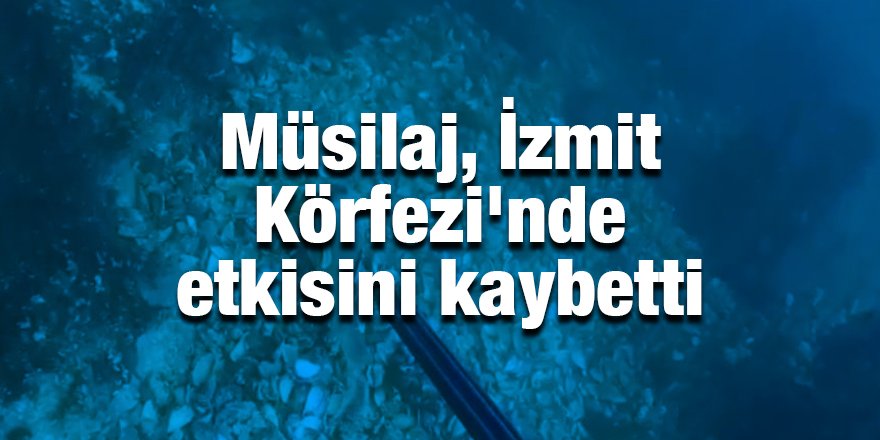 Müsilaj, İzmit Körfezi'nde etkisini kaybetti
