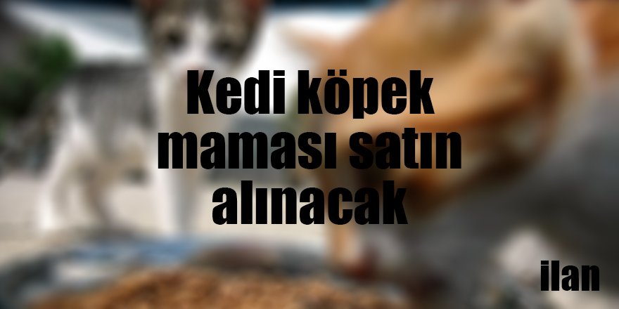 Kedi köpek maması satın alınacak