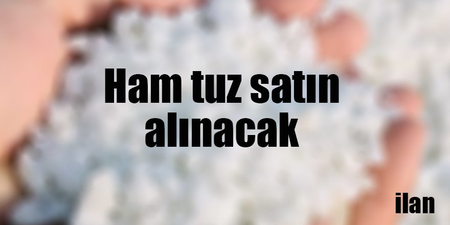 Ham tuz satın alınacak