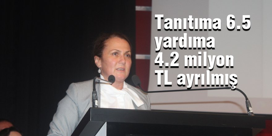 Tanıtıma 6.5 yardıma 4.2 milyon TL ayrılmış