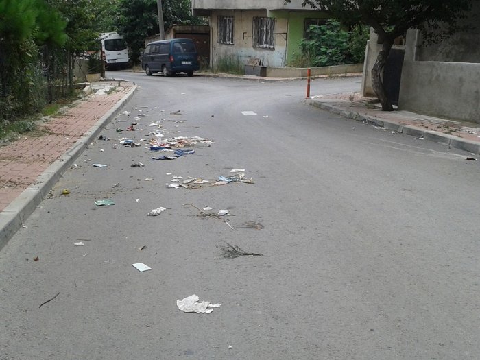Çöp konteynırı olmayınca bu görüntüler oluştu