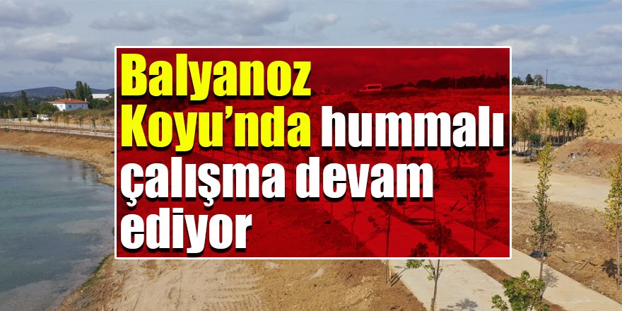 Balyanoz Koyu’nda hummalı çalışma devam ediyor