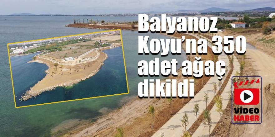 Balyanoz Koyu’na 350 adet ağaç dikildi