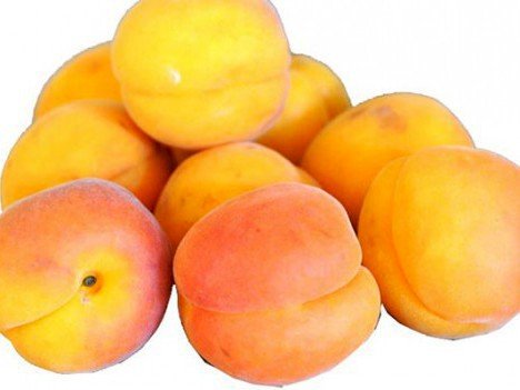 Kocaeli’nin zam şampiyonu kayısı