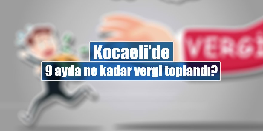 9 ayda ne kadar vergi toplandı?